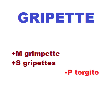 6/4    cliquez ici